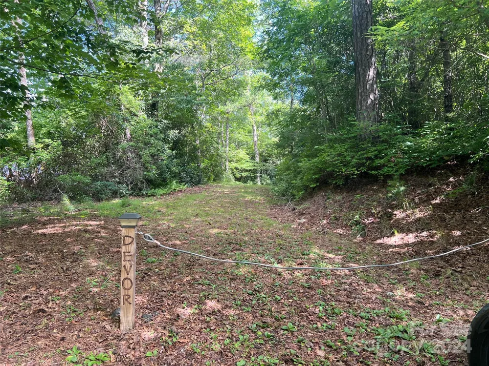 667 Laurel Thicket Lane Brevard, NC 28712