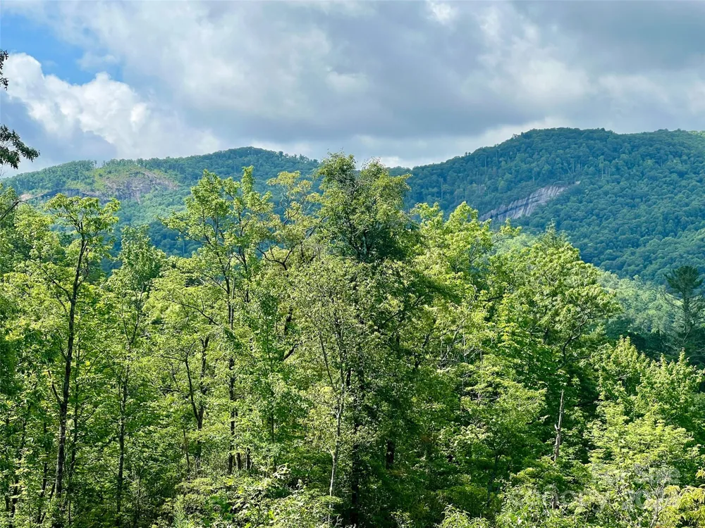 667 Laurel Thicket Lane Brevard, NC 28712