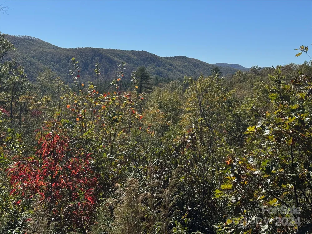 667 Laurel Thicket Lane Brevard, NC 28712