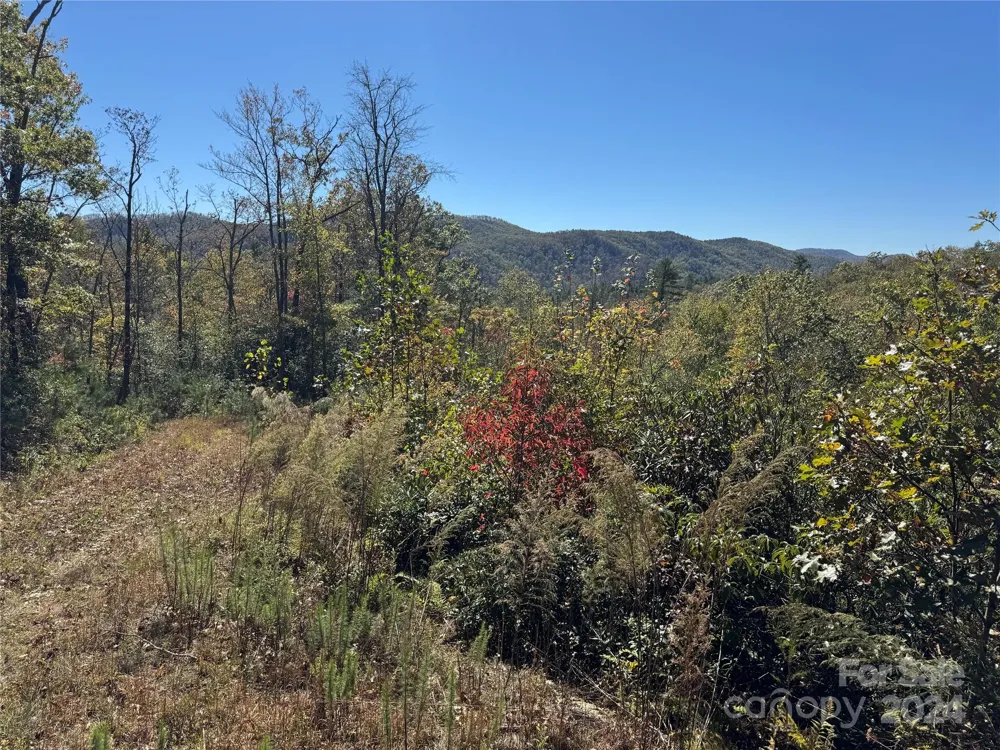 667 Laurel Thicket Lane Brevard, NC 28712