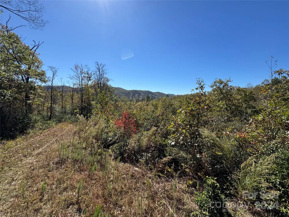 667 Laurel Thicket Lane Brevard, NC 28712