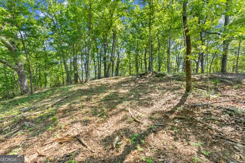 95 Chimney Oaks TRL