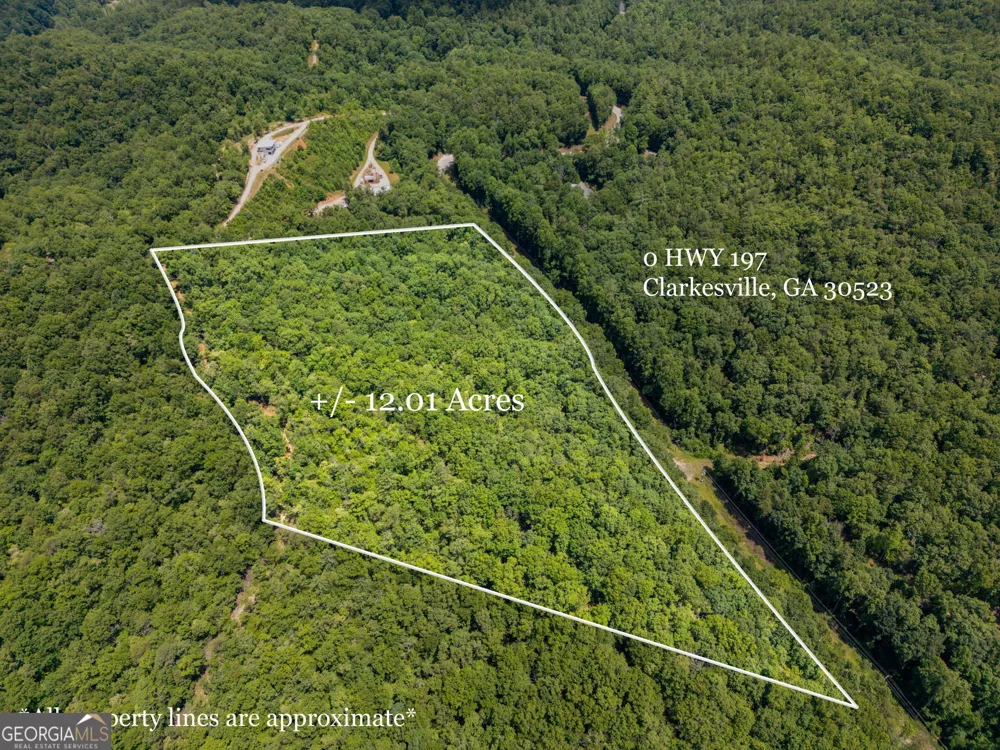 0 Hwy 197 Clarkesville, GA 30523