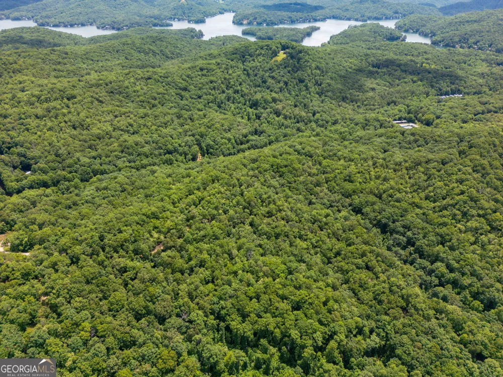 0 Hwy 197 Clarkesville, GA 30523