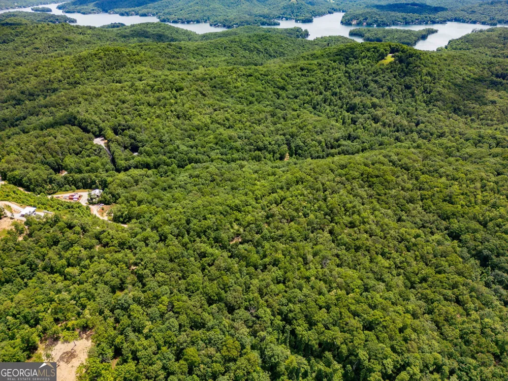 0 Hwy 197 Clarkesville, GA 30523