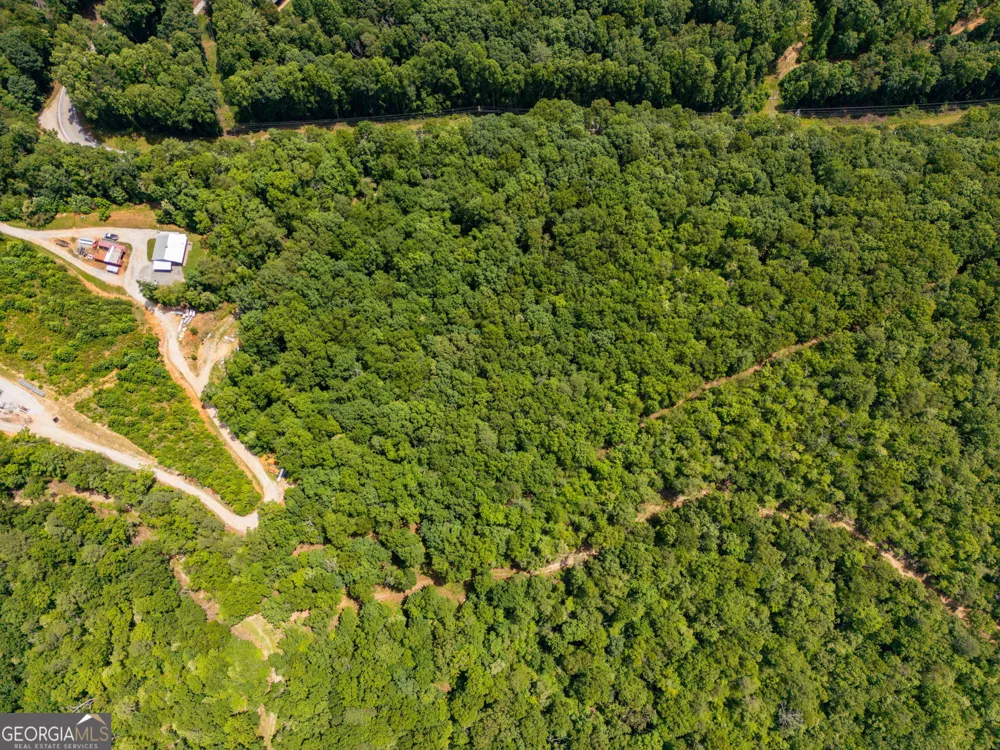 0 Hwy 197 Clarkesville, GA 30523