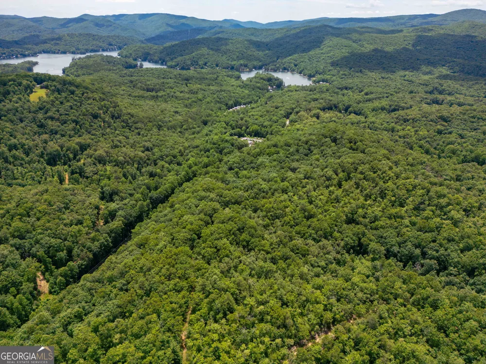 0 Hwy 197 Clarkesville, GA 30523