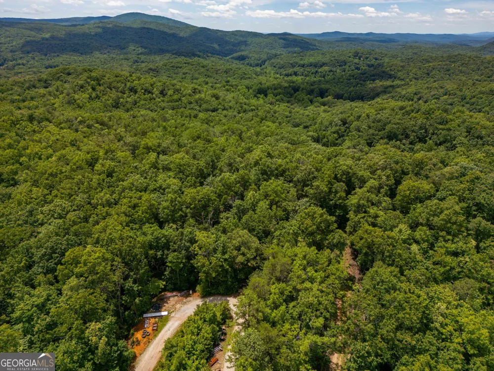 0 Hwy 197 Clarkesville, GA 30523