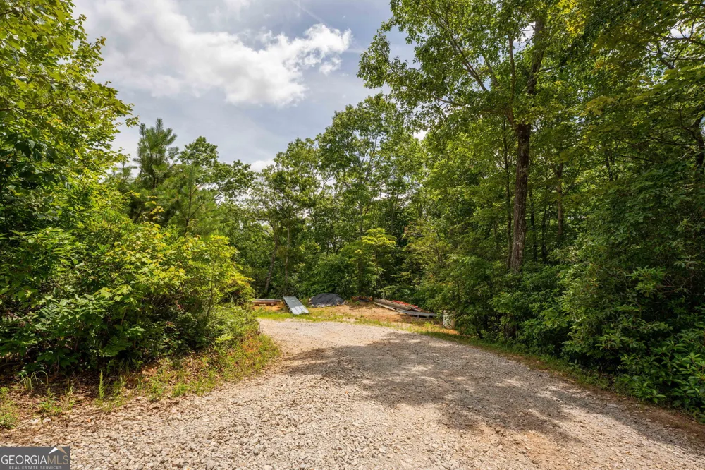 0 Hwy 197 Clarkesville, GA 30523