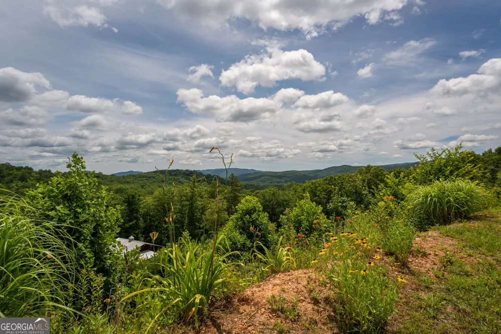 0 Hwy 197 Clarkesville, GA 30523