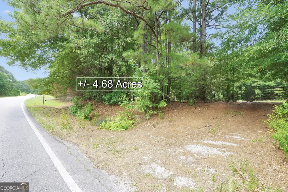 0 LeGuin Mill RD Locust Grove, GA 30248