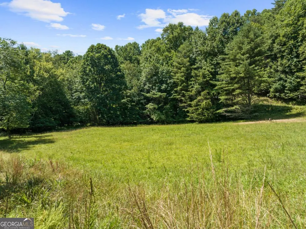LOT 8 Tipton CT Cherry Log, GA 30522