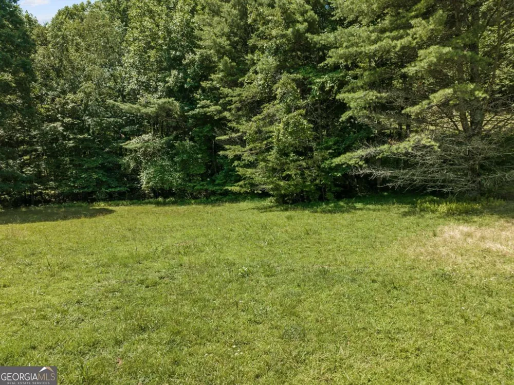 LOT 8 Tipton CT Cherry Log, GA 30522
