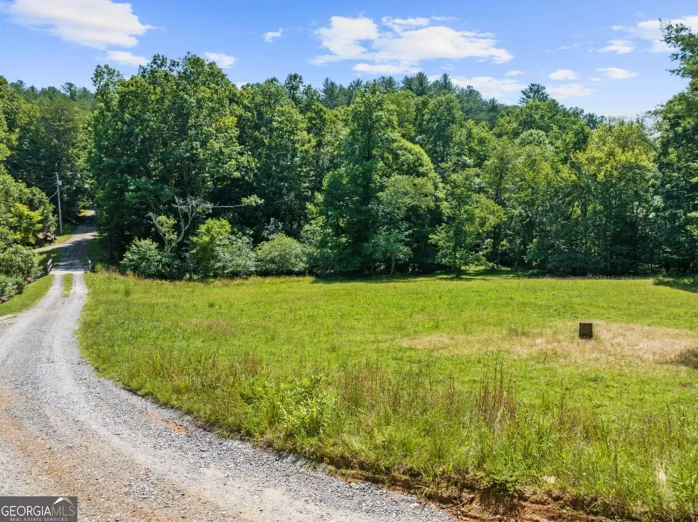 LOT 8 Tipton CT Cherry Log, GA 30522