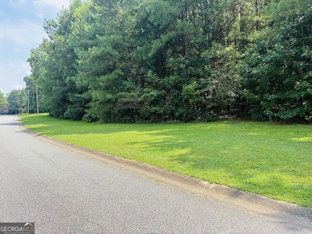 0 Mapledale TRL Sharpsburg, GA 30277