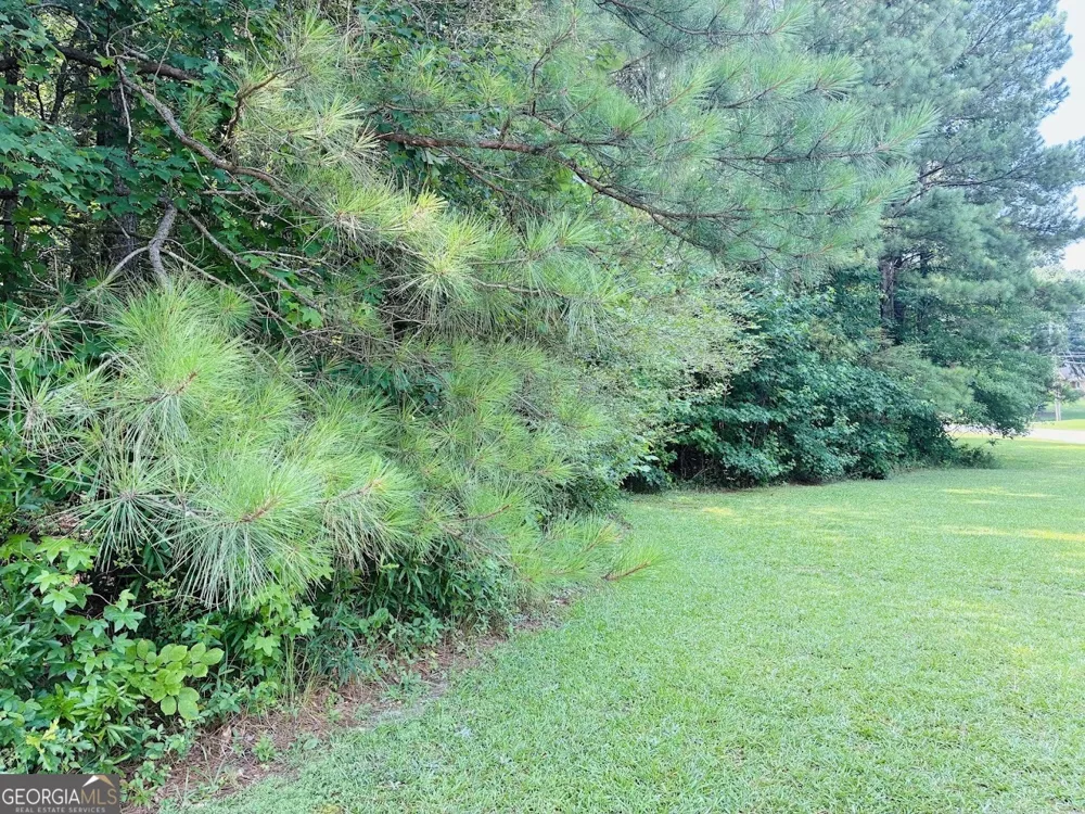 0 Mapledale TRL Sharpsburg, GA 30277