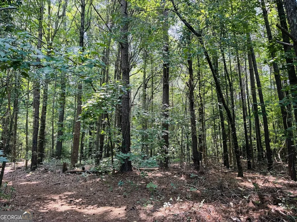 0 Mapledale TRL Sharpsburg, GA 30277