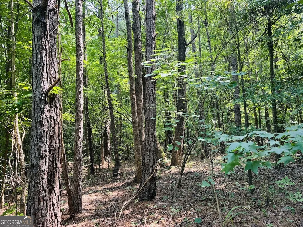 0 Mapledale TRL Sharpsburg, GA 30277
