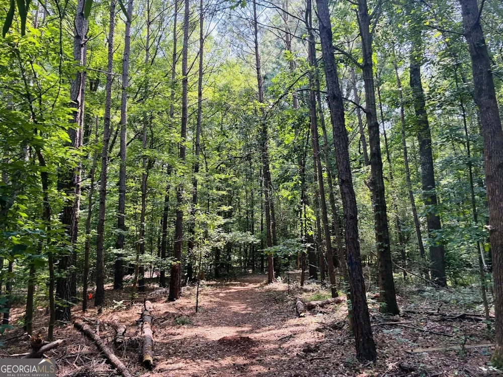 0 Mapledale TRL Sharpsburg, GA 30277