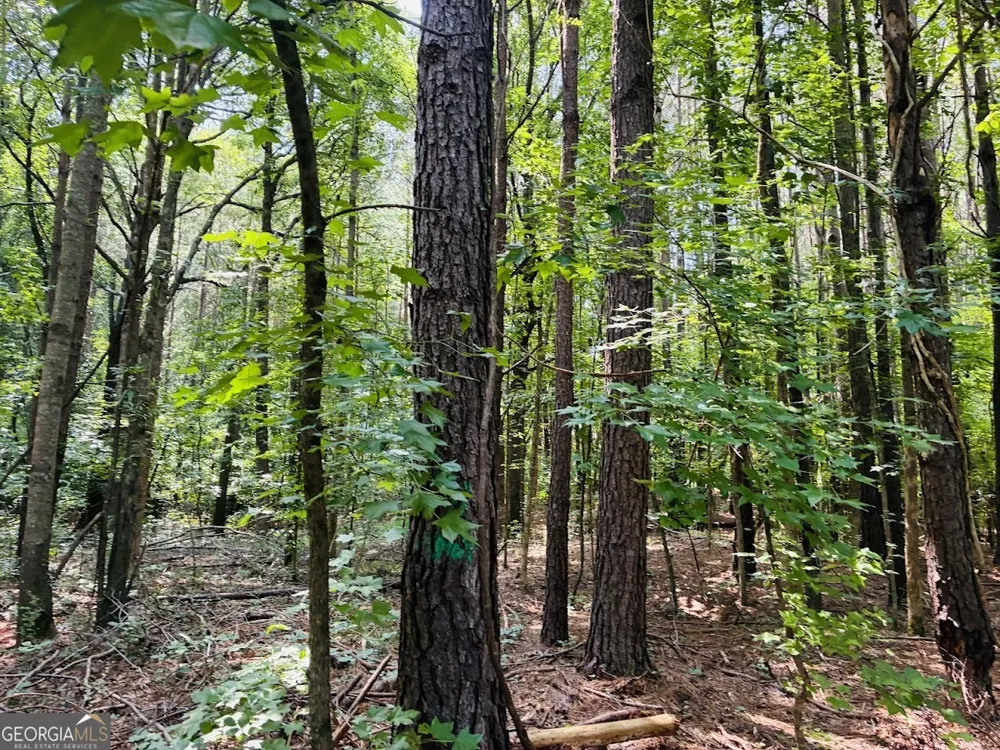 0 Mapledale TRL Sharpsburg, GA 30277