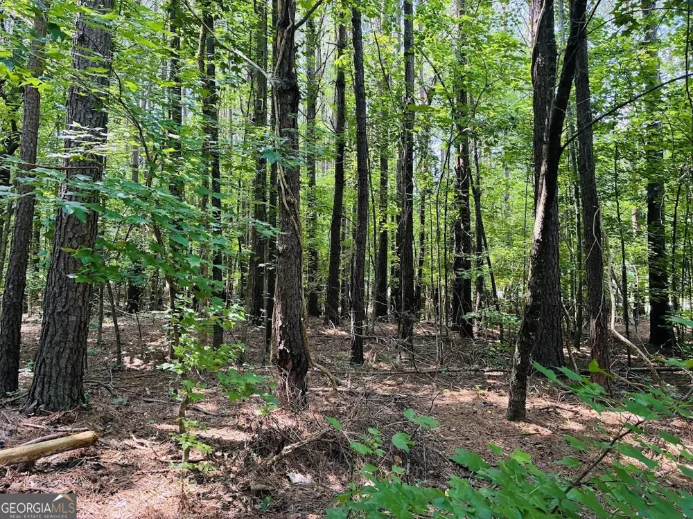 0 Mapledale TRL Sharpsburg, GA 30277