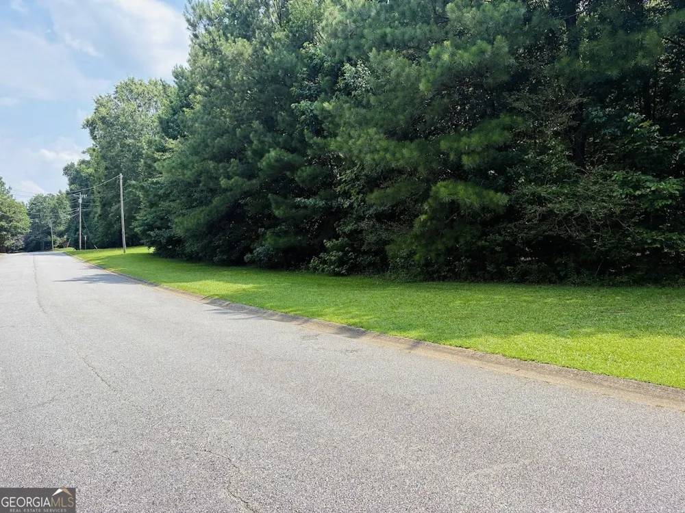 0 Mapledale TRL Sharpsburg, GA 30277
