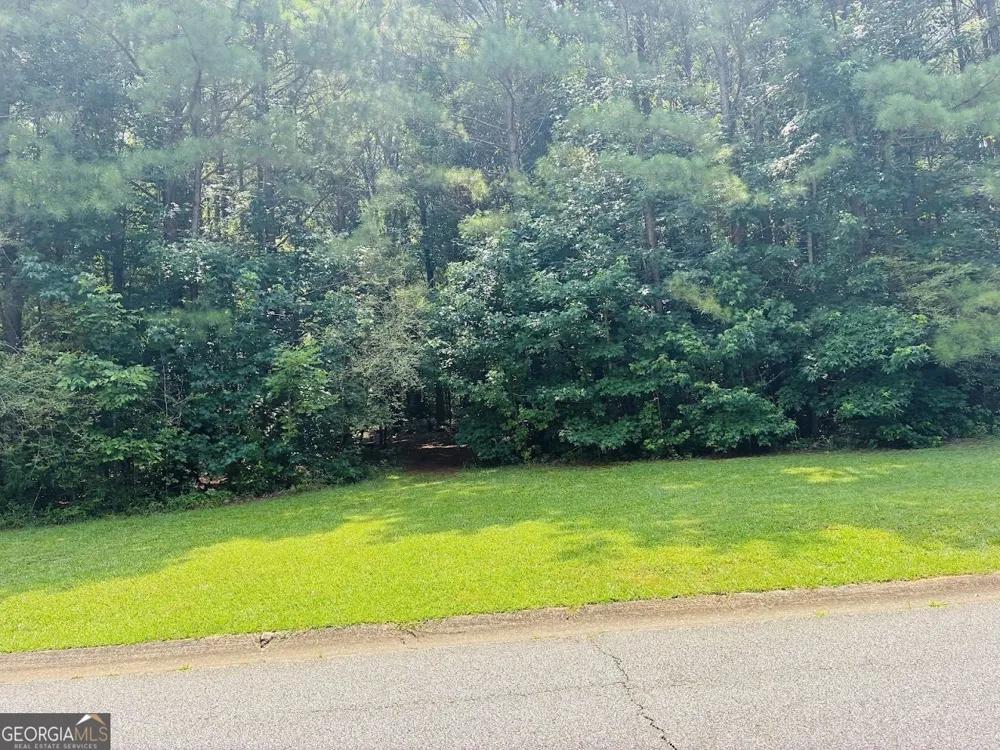 0 Mapledale TRL Sharpsburg, GA 30277