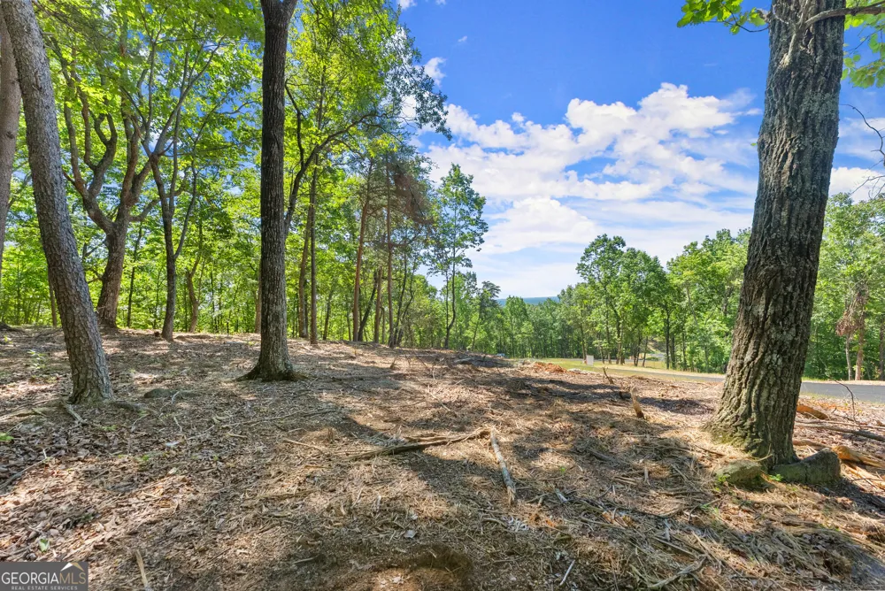210 Chimney Oaks TRL Cleveland, GA 30528