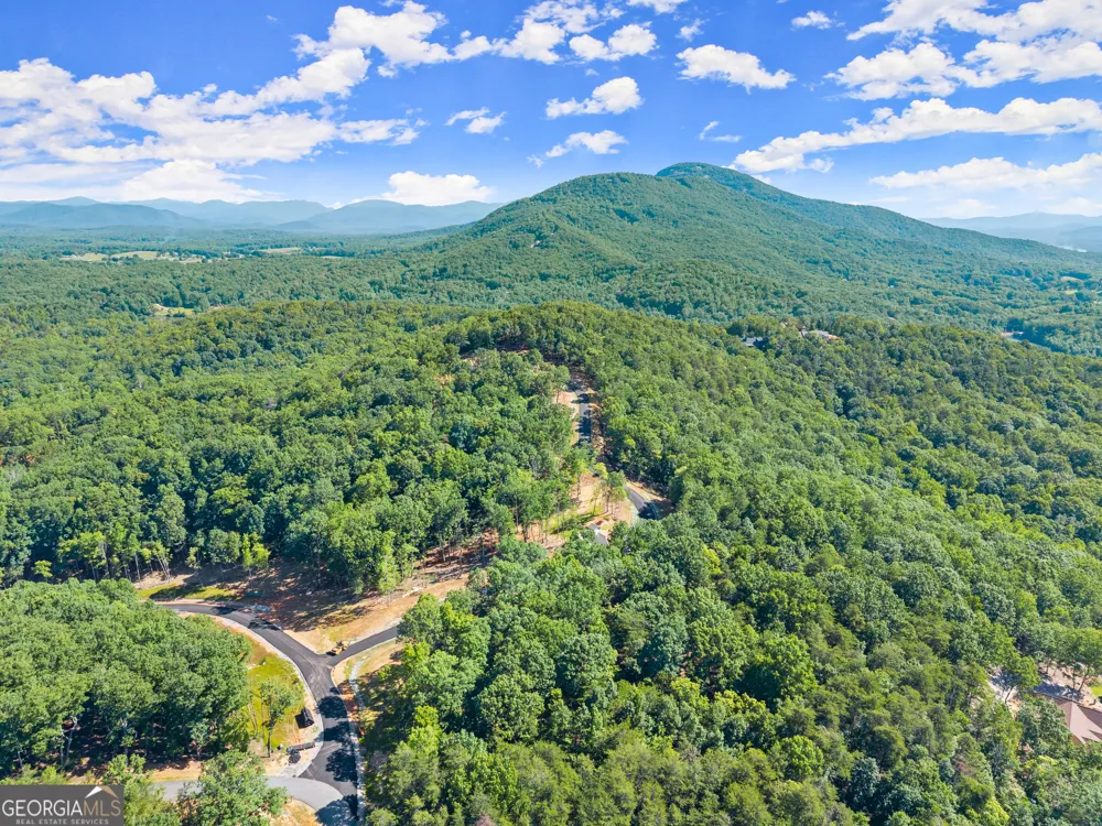 188 Chimney Oaks TRL Cleveland, GA 30528