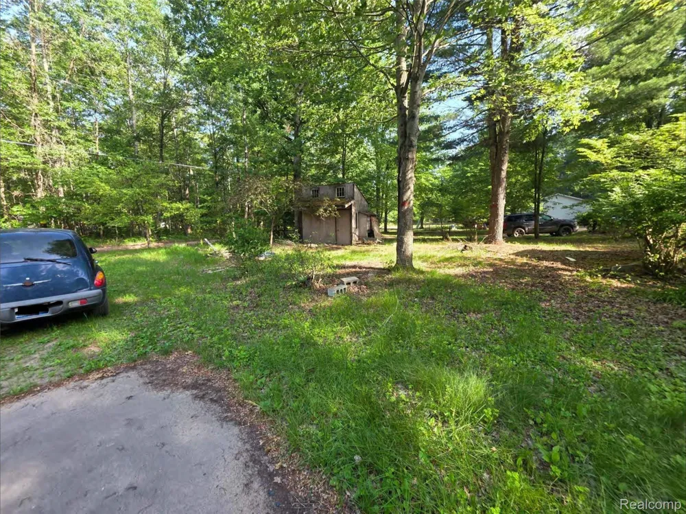 5420 Randy Drive Mills Township, MI 48756