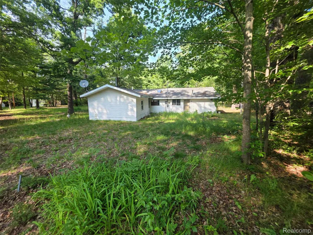 5420 Randy Drive Mills Township, MI 48756