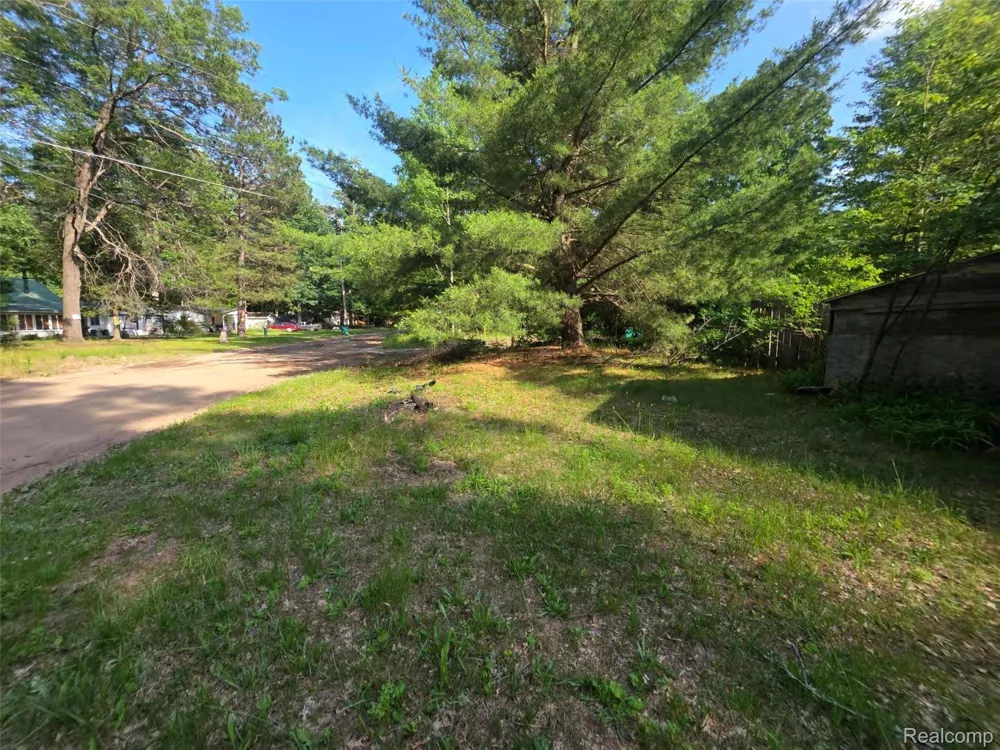 5420 Randy Drive Mills Township, MI 48756