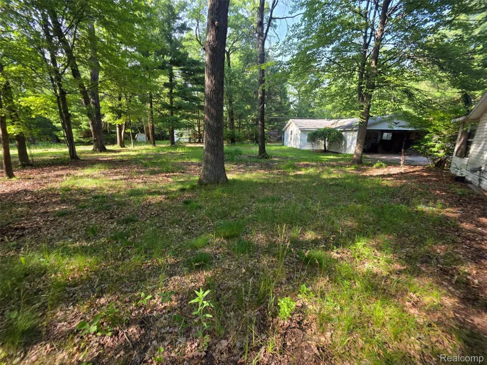 5420 Randy Drive Mills Township, MI 48756