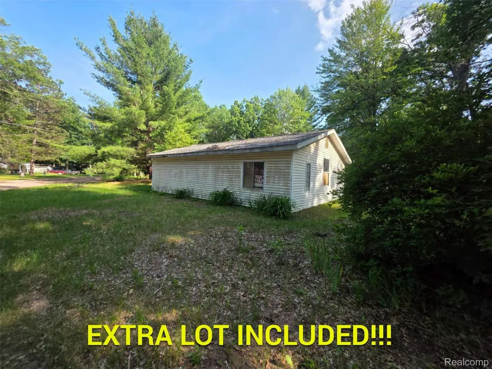 5420 Randy Drive Mills Township, MI 48756