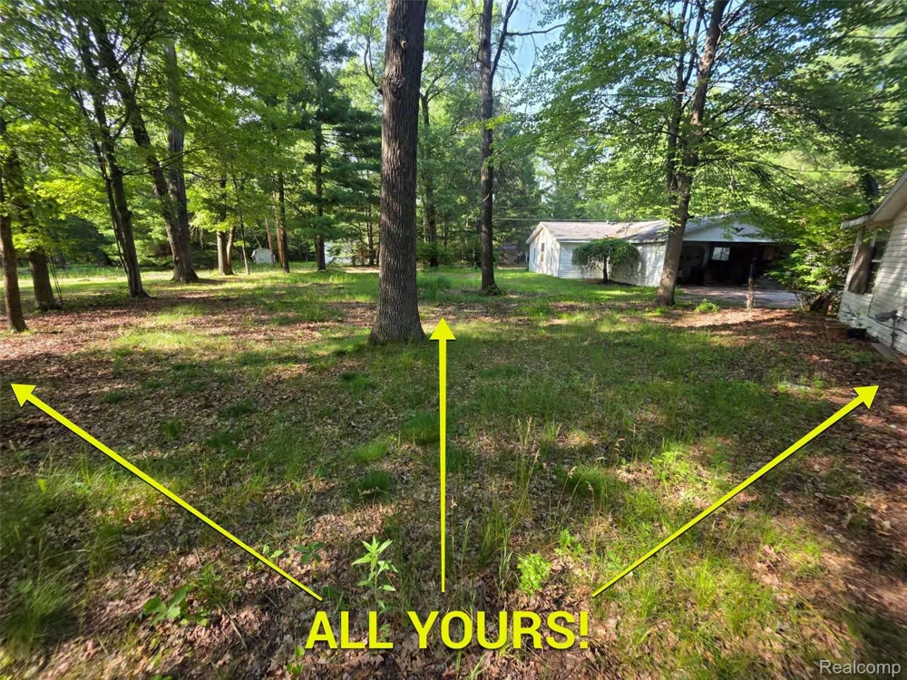 5420 Randy Drive Mills Township, MI 48756