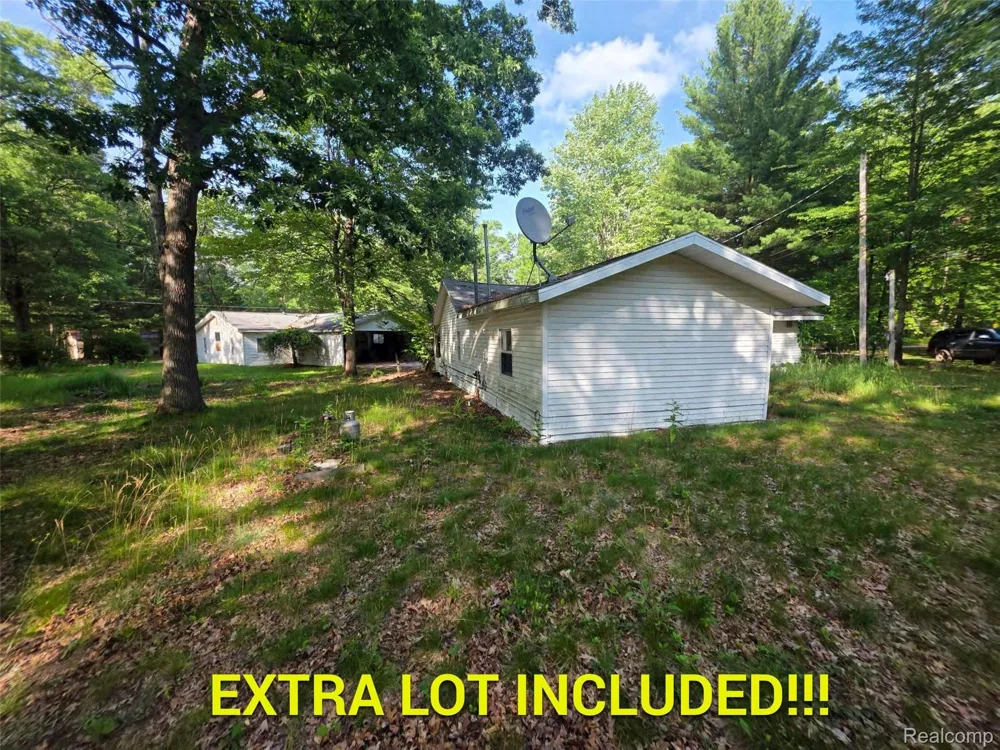5420 Randy Drive Mills Township, MI 48756
