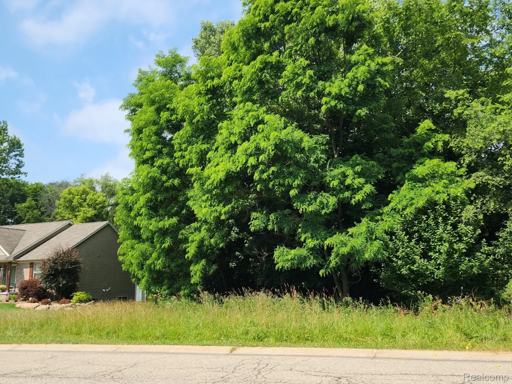 7480 Fairview Drive Atlas Township, MI 48438
