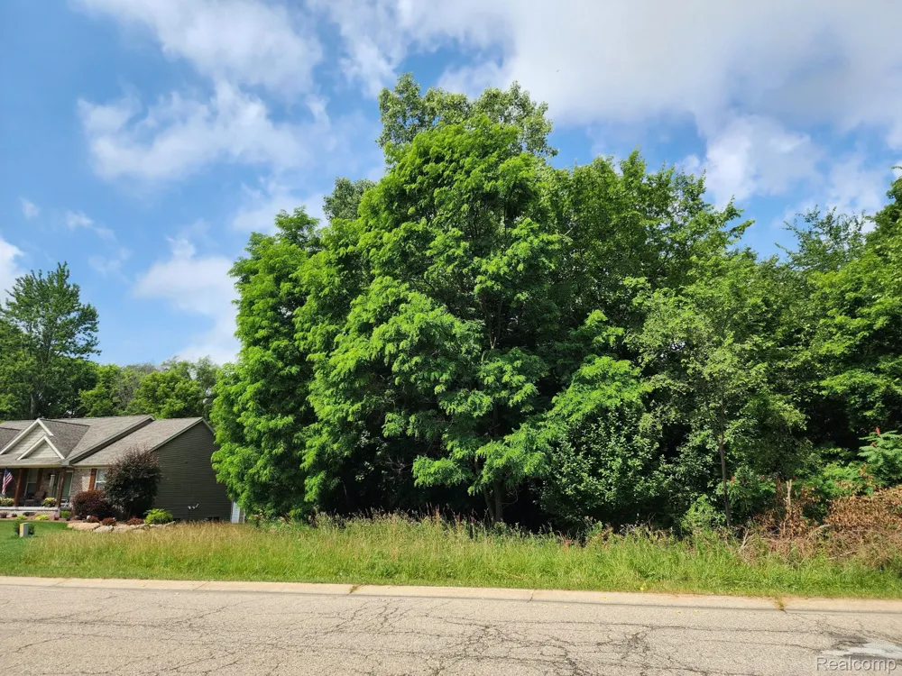 7480 Fairview Drive Atlas Township, MI 48438