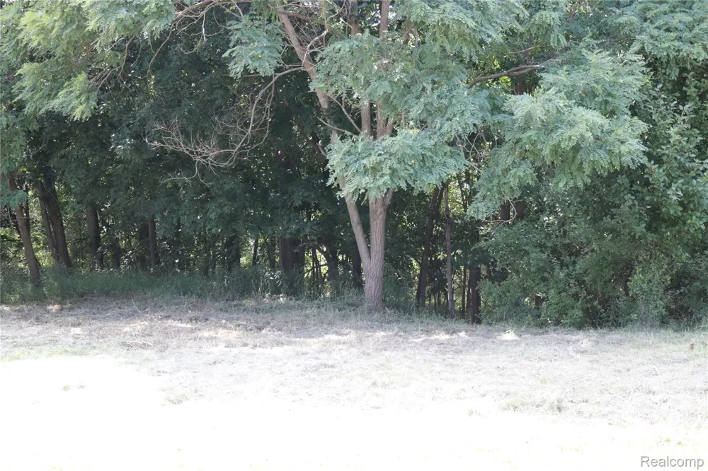 7480 Fairview Drive Atlas Township, MI 48438
