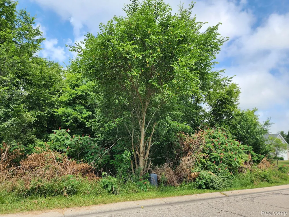 7480 Fairview Drive Atlas Township, MI 48438