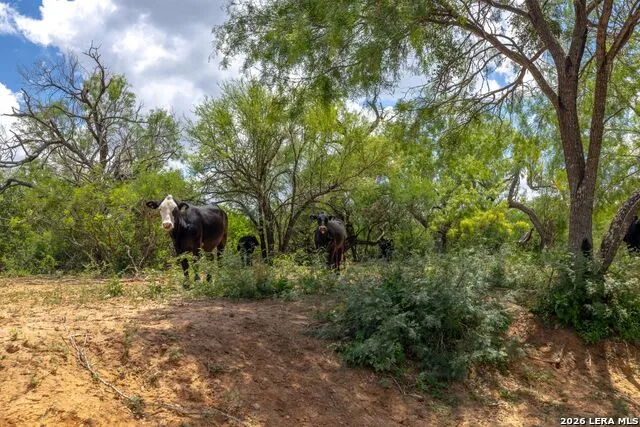 0 Fm 462 Hondo, TX 78861