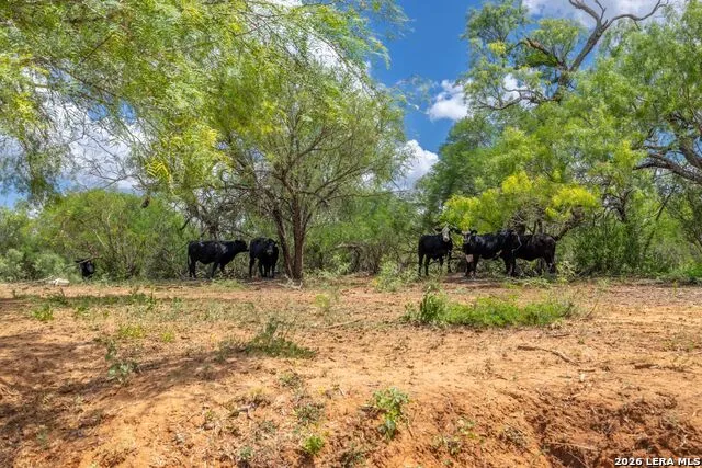 0 Fm 462 Hondo, TX 78861