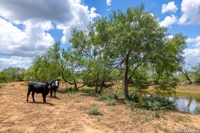 0 Fm 462 Hondo, TX 78861