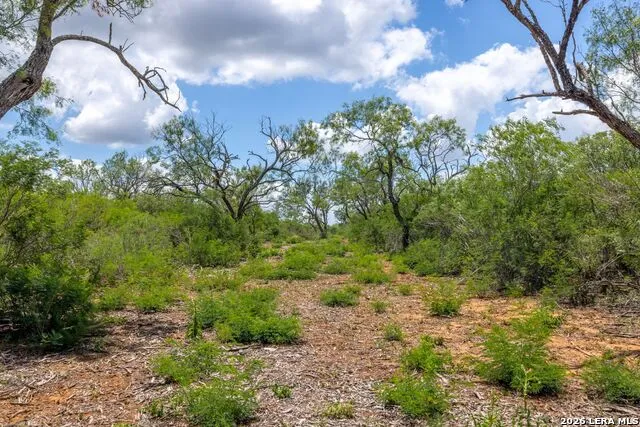 0 Fm 462 Hondo, TX 78861