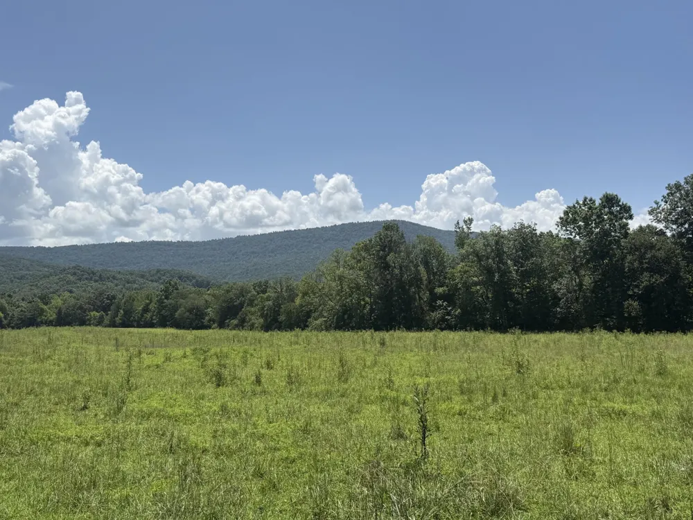0 Howard Beavert Road Pikeville, TN 37367