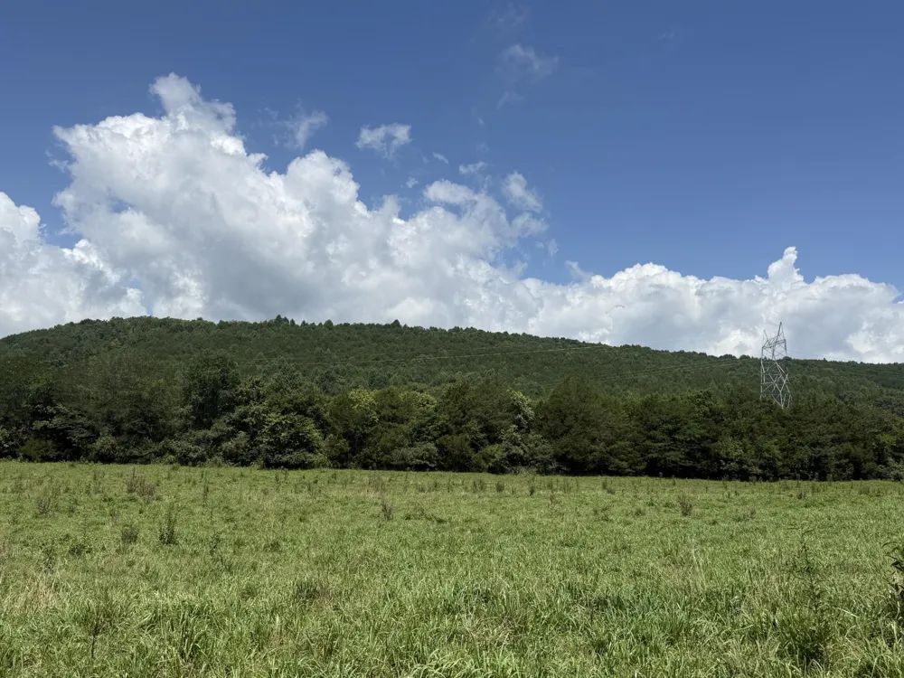 0 Howard Beavert Road Pikeville, TN 37367