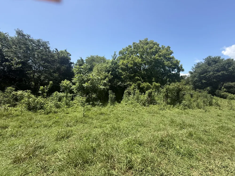 0 Howard Beavert Road Pikeville, TN 37367