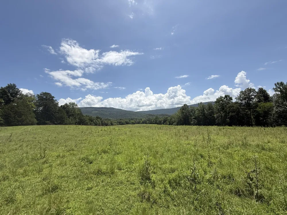0 Howard Beavert Road Pikeville, TN 37367