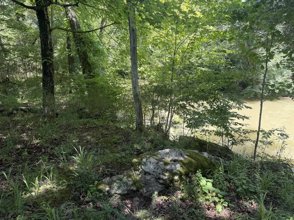 0 Howard Beavert Road Pikeville, TN 37367