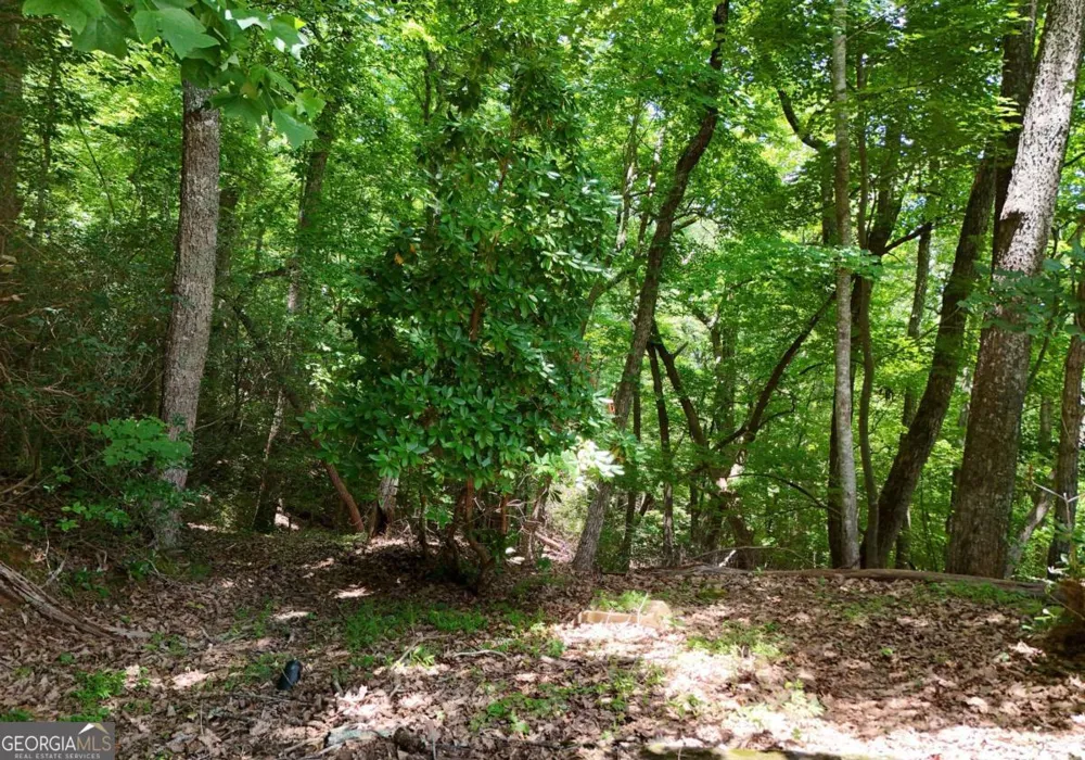 714 Mountain View RD Hiawassee, GA 30546